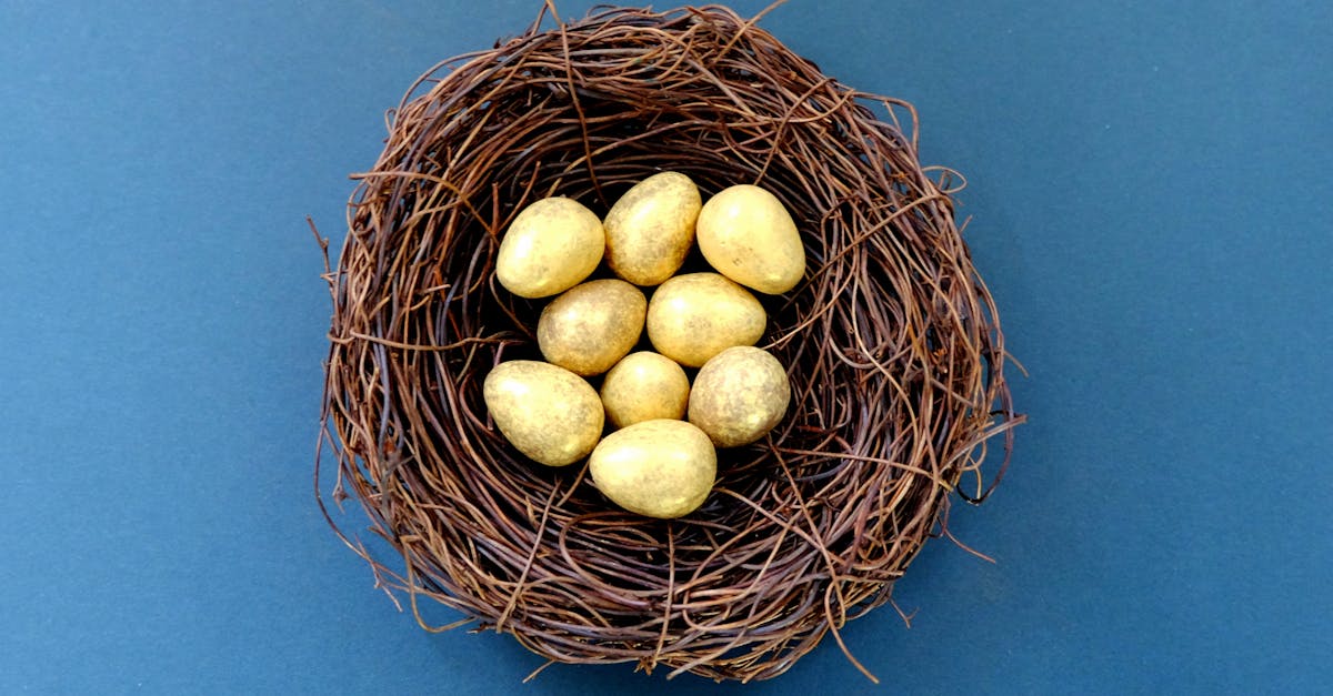 découvrez l'art du nesting, une technique innovante qui optimise l'organisation et la gestion des ressources. apprenez comment cette méthode peut transformer votre espace de travail et améliorer votre productivité.