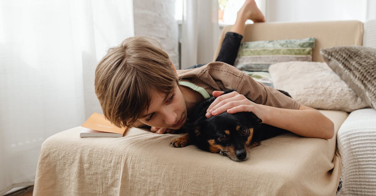 découvrez les causes, symptômes et solutions efficaces pour traiter la diarrhée chez les chiots. obtenez des conseils pratiques pour garantir le bien-être de votre compagnon à quatre pattes.